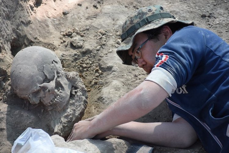Hasankeyf Höyük’te 11.500 Yıllık Yerleşim Ortaya Çıkıyor