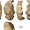 Geç Neandertaller Karmaşık Alet Üretim Teknikleri Kullanıyordu