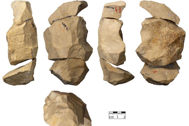Geç Neandertaller Karmaşık Alet Üretim Teknikleri Kullanıyordu