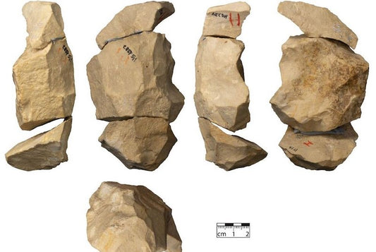 Geç Neandertaller Karmaşık Alet Üretim Teknikleri Kullanıyordu