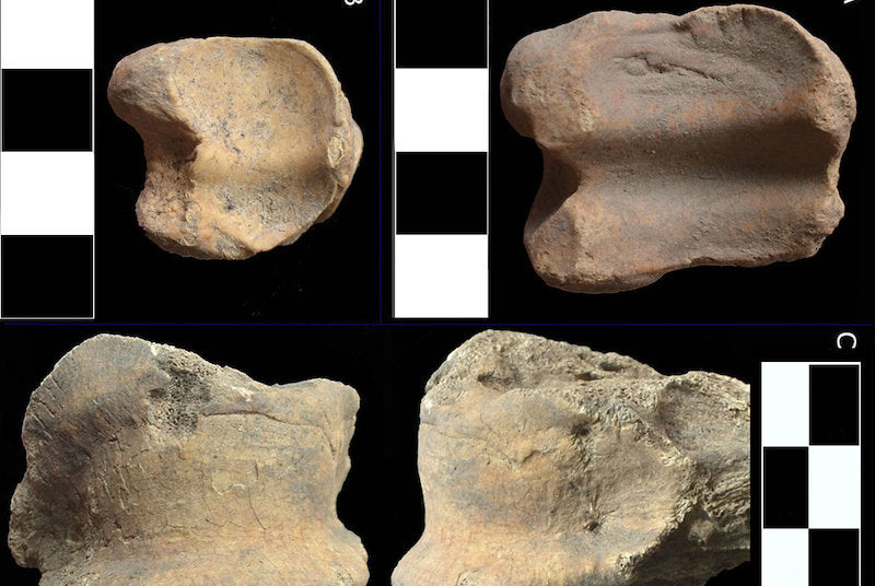 Afrikalı Erken Müslümanların Kozmopolit ve Helal Diyetleri Vardı