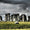 Stonehenge’in Sarsen Taşları 120 Km Uzaktan Gelmiş Olabilir