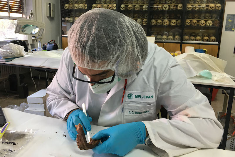 Hepatit B Virüsünün On Bin Yıllık Evrim Süreci Açıklandı