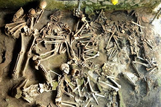 Herculaneum’daki Erkek ve Kadınların Farklı Diyetleri Vardı