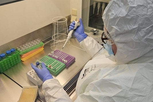 2.500 Yıllık İnsan Kalıntılarında Herpes Virüsü Genomu Bulundu