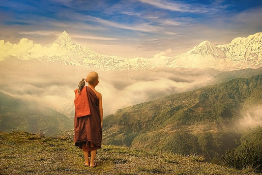 İnsanlar Himalayalar’da Nasıl Hayatta Kalıyordu?