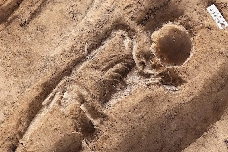 Almanya’da Kafatasının Yarısı Olmayan 1.000 Yıllık İskelet Bulundu