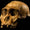 Meşhur Australopithecus sediba Türü İnsanların Atası Olmayabilir