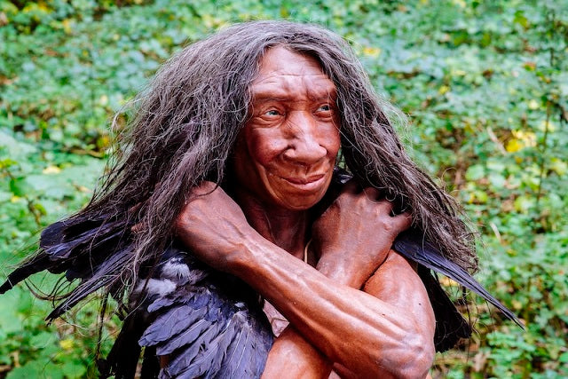 Neandertaller ile Ne Zaman Seks Yaptığımız Belirlenmiş Olabilir