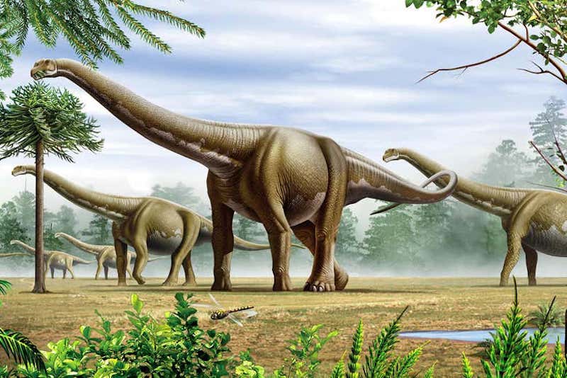 Dinozorların Büyük Boyutunun Sırrı Hafif Kemiklerinde Olabilir