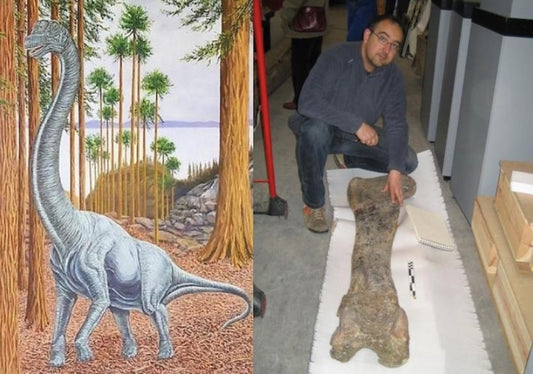 İspanya’da 14 Metre Boyunda Yeni Dinozor Türü Keşfedildi