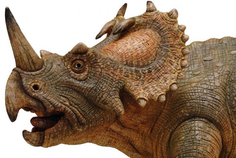 Bir Dinozorda İlk Kez Kötü Huylu Kanser Teşhis Edildi