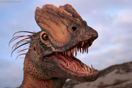 Meşhur Dinozor, Kertenkeleden Çok Kuşa Benziyordu