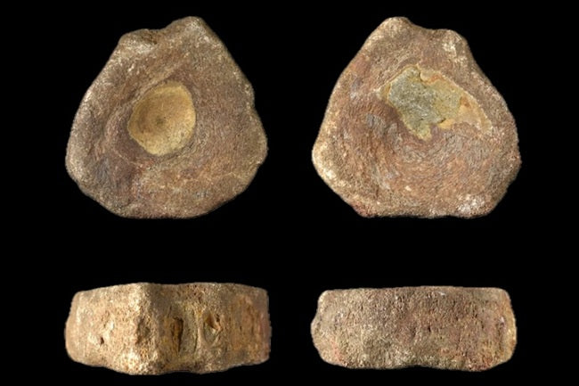 Britanya’da 1.800 Yıl Önce Biri İhtiyozor Fosili Toplamış