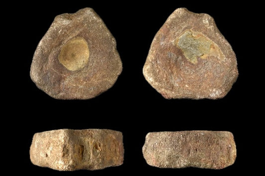 Britanya’da 1.800 Yıl Önce Biri İhtiyozor Fosili Toplamış
