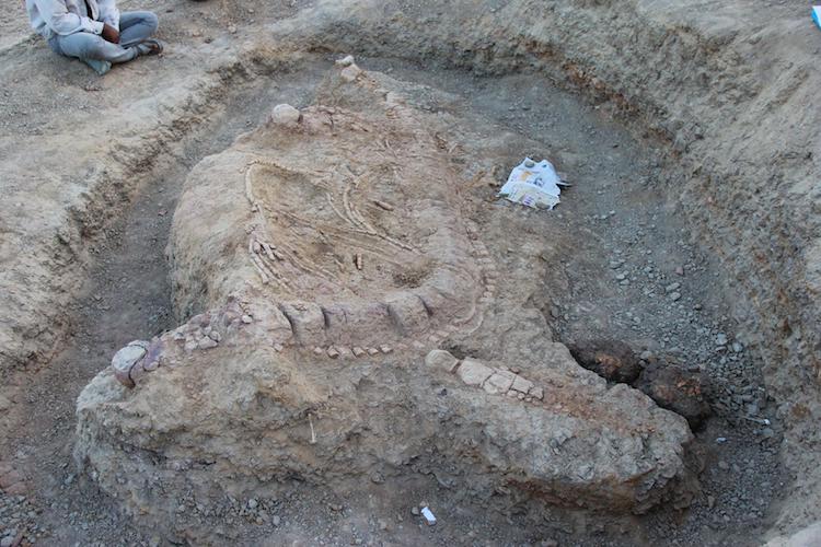 Hindistan’da 150 Milyon Yıllık ‘Deniz Canavarı’ Fosili Bulundu