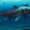 İngiltere’de 10 Metre Uzunluğunda Ichthyosaur Fosili Bulundu