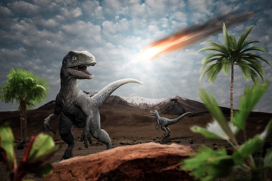 Dinozorları Yok Eden Asteroit, Amazon Ormanlarına Can Verdi