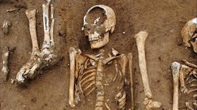 Archéologie : nouveaux indices sur la peste noire