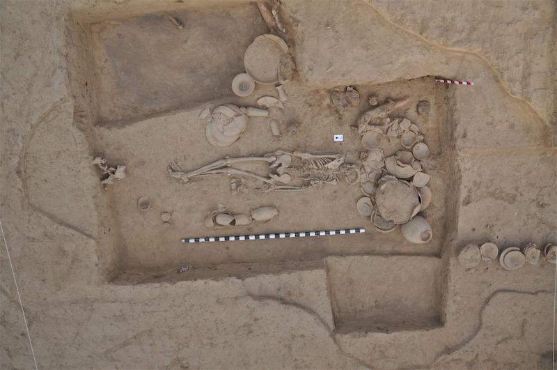 Gizemli İndus Halkı, Modern Güney Asyalılarla İlişkili Çıktı