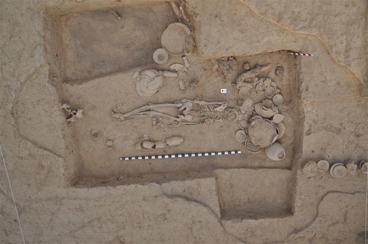 Gizemli İndus Halkı, Modern Güney Asyalılarla İlişkili Çıktı