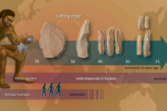 Taş Aletlerdeki Yenilikler, Afrika’dan Göçümüzle Paralellik Taşıyor