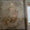9 bin yıllık iskeletler müzede sergileniyor