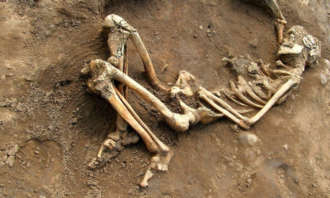 Bir Romalı İskeletinden Öğrenebileceğimiz 5 Şey