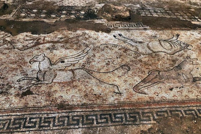 Kaçak Kazıda Bulunan Mozaikler Zeugma Müzesine Taşınıyor