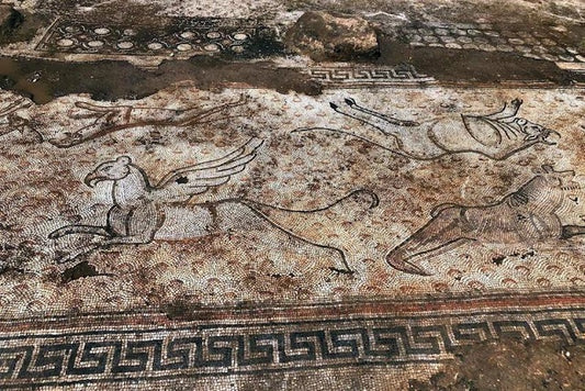 Kaçak Kazıda Bulunan Mozaikler Zeugma Müzesine Taşınıyor