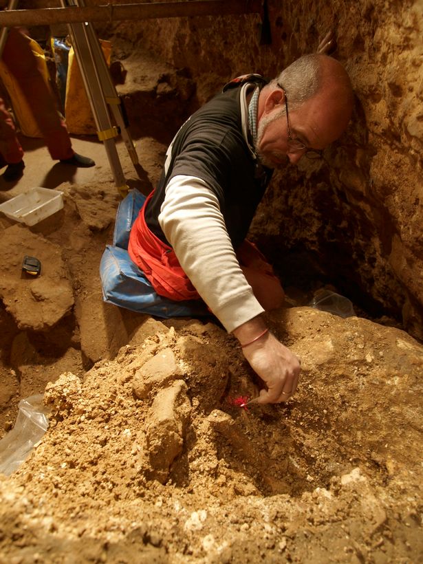 400.000 Yıllık Fosillerde Bilinen En Eski Neandertal DNAsı Bulundu