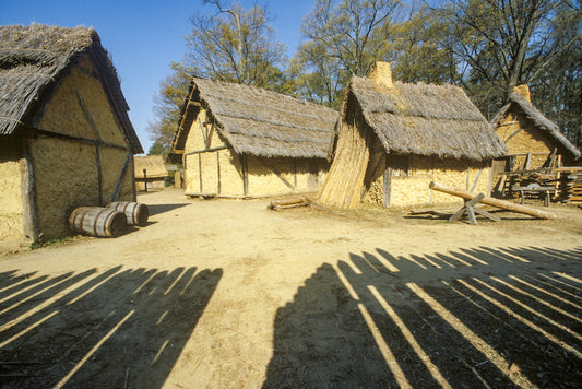 Jamestown’da Amerika’nın Yerel Köpeklerinin Kalıntıları Bulundu