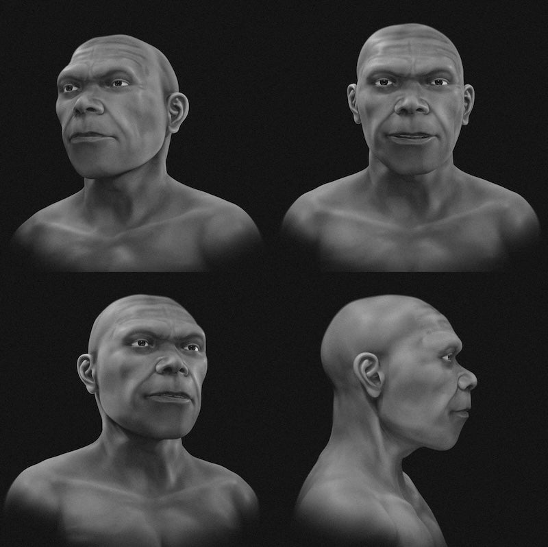 Bildiğimiz En Eski Homo sapiens’in Yüzü Yeniden Oluşturuldu
