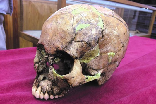 Antik DNA, Bilinmeyen Bir Japon Soyunu Ortaya Çıkardı