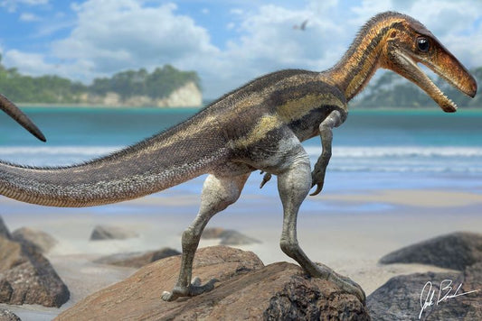 Bu Ufak Dinozor, Çok Hassas Duyulara Sahipti