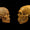 Neandertal ve Denisovalı Bireylerin Kan Grupları Keşfediliyor