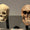 Neandertallerin Kan Grubu Yok Oluşlarını Açıklayabilir