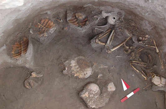 Diyarbakır’da Kaplumbağalar ile Gömülen Asur Mezarı Ortaya Çıktı