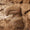 Göbeklitepe ve Karahantepe’de Gerçek Boyutlu Heykeller Bulundu