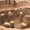 Karahantepe’de Göbeklitepe ile Çağdaş Özel Yapılar Bulundu