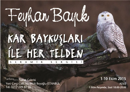 Kar Baykuşları ile Her telden