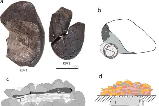 Neandertaller Damıtma Yöntemiyle Yapıştırıcı Üretmiş