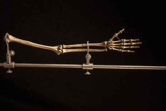Neandertallerin Elleri Sanılanın Aksine Oldukça Kıvraktı