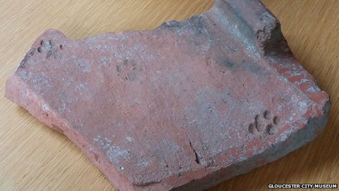 İngiltere’de Roma Kiremitinde Kedi Patisi İzi Keşfedildi