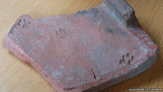İngiltere’de Roma Kiremitinde Kedi Patisi İzi Keşfedildi