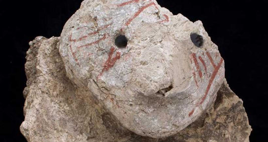 Çatalhöyük’te Bulunan Kil Kafa Bir Kedigil Türü Olabilir