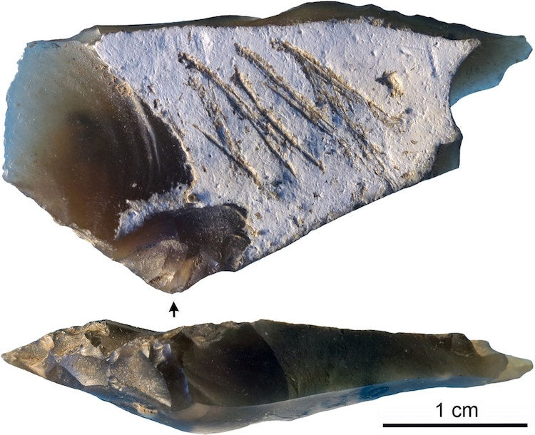 Araştırmaya Göre Neandertaller Sembolik Sanat Üretiyordu