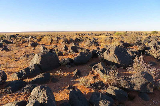 Güney Afrika’da Binlerce Yıllık Çöl Tuzakları Bulundu