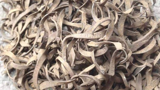 İngiltere’de 500 Yıl Önce Eritilmek İçin Kırpılan Sikke Parçaları Bulundu
