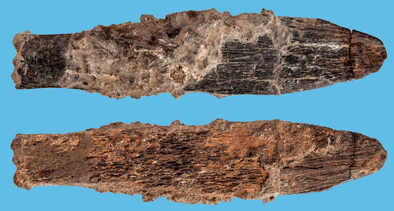 Afrika’nın İlk Uzman Aleti 90.000 Yıllık Bıçak
